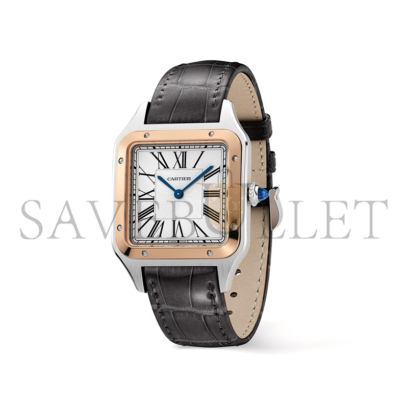 CARTIER SANTOS-DUMONT WATCH 43.5MM W2SA0011